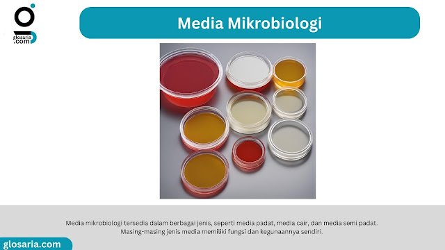 Prinsip dan Cara Pembuatan Media Mikrobiologi